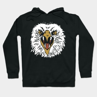 Eagle Fang Karate Hoodie